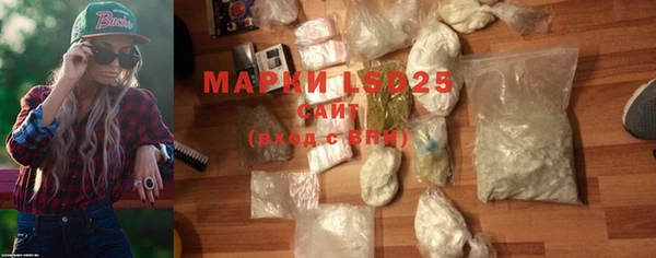 прущие грибы Балабаново