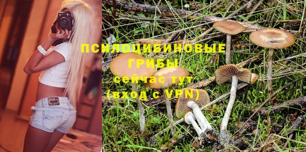 кокаин Белокуриха