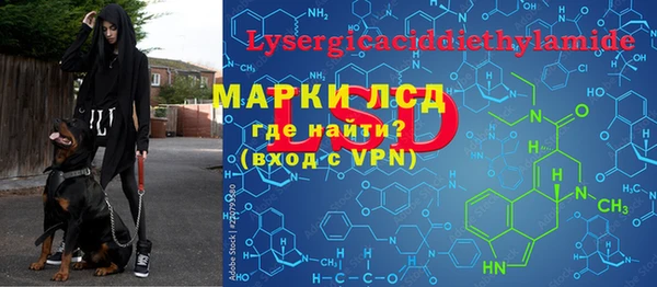 прущие грибы Балабаново